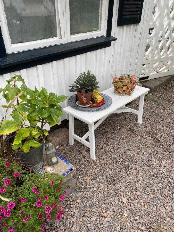 B&B Bland Ormbunkar Och Rosor Falkenberg Extérieur photo