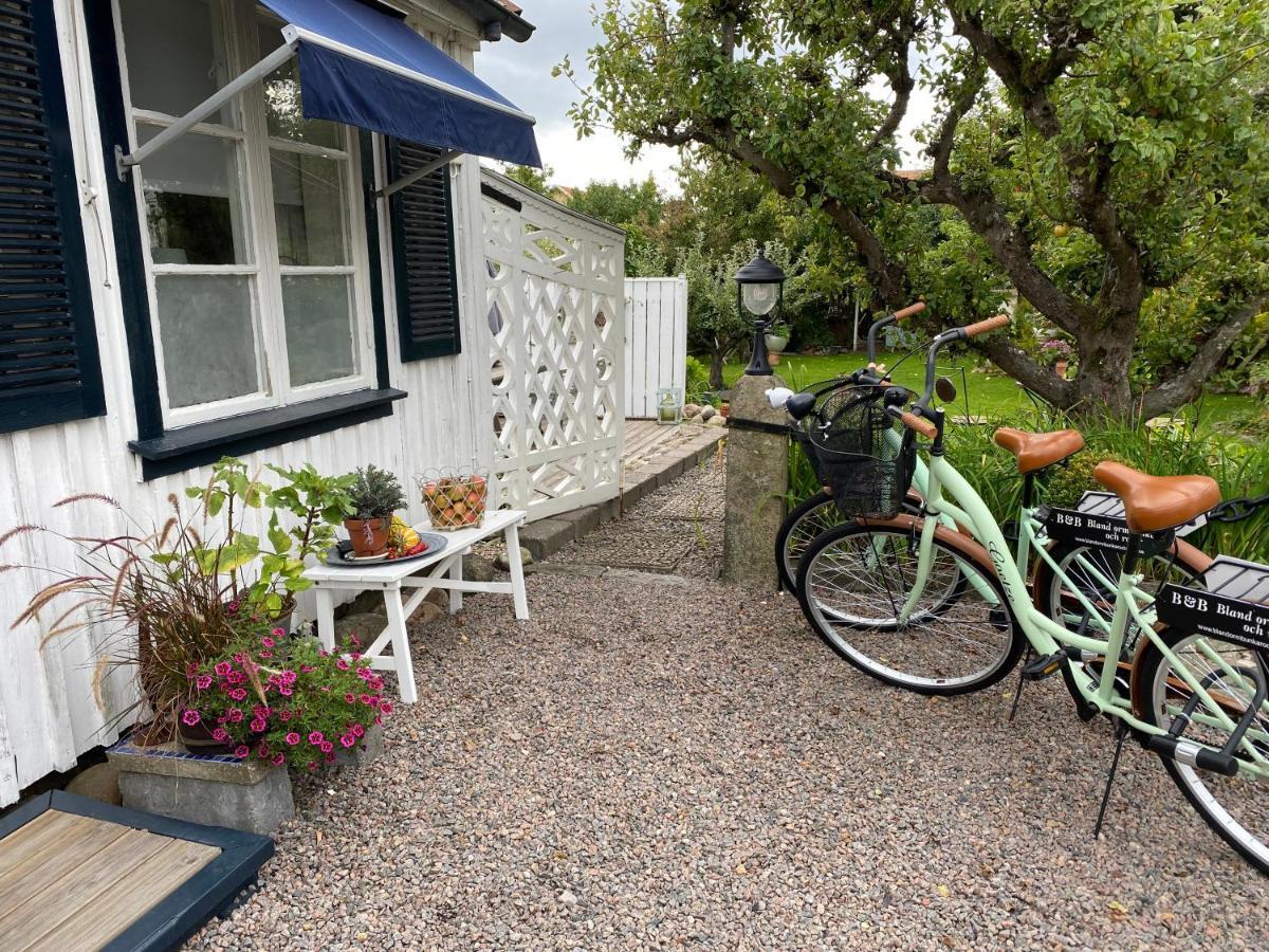 B&B Bland Ormbunkar Och Rosor Falkenberg Extérieur photo